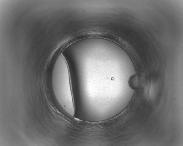 X0000080710731200612150902