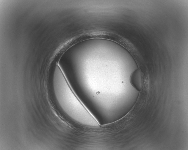 X0000080710732200612150902