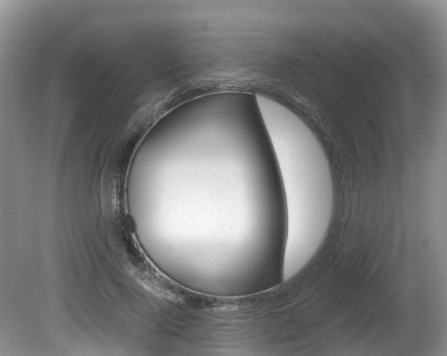 X0000080710740200612150902