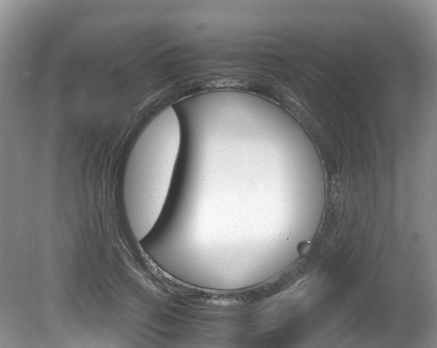 X0000080710741200612150902