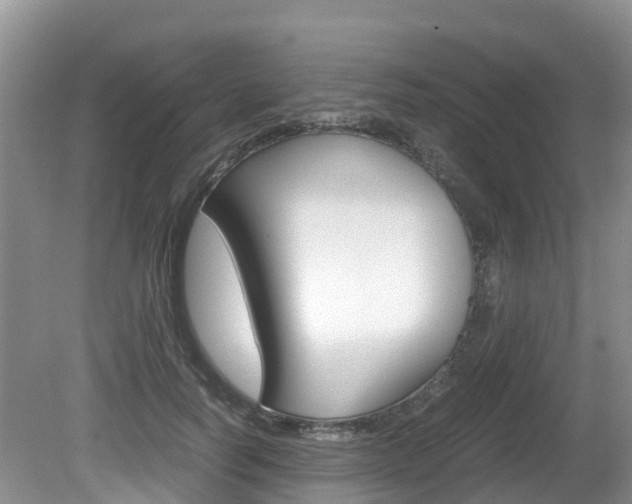 X0000080710746200612150902
