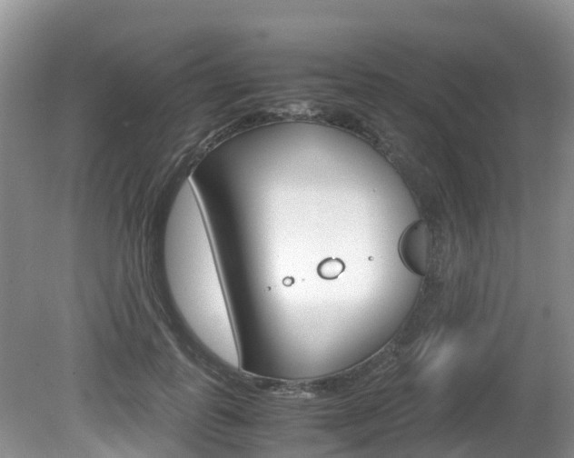 X0000080710747200612150902