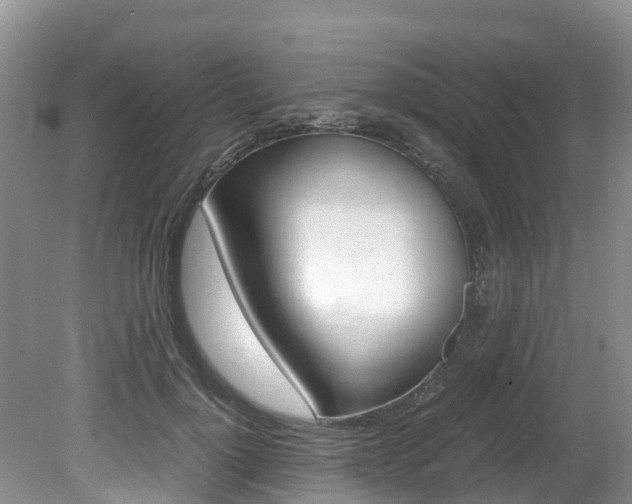 X0000080710748200612150902