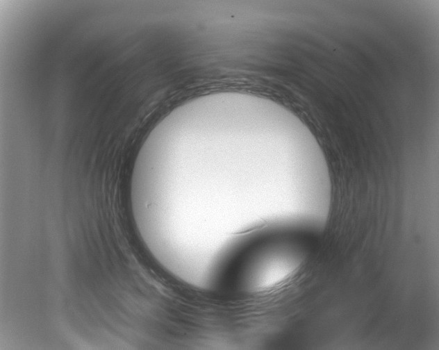X0000080710750200612150902