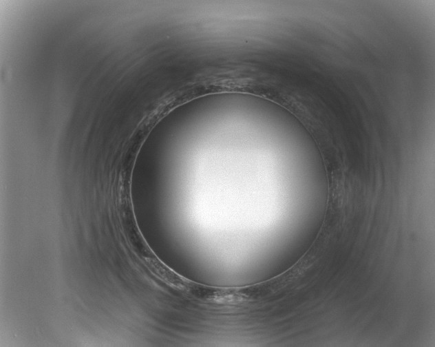 X0000080710752200612150902