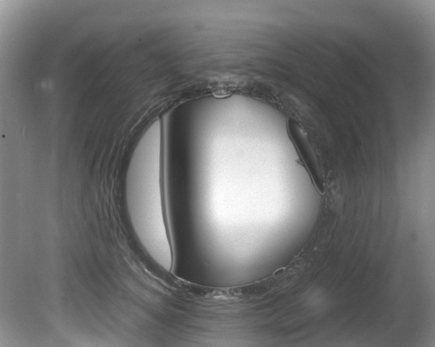 X0000080710756200612150902
