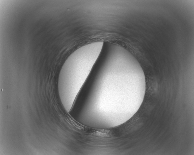 X0000080710758200612150902