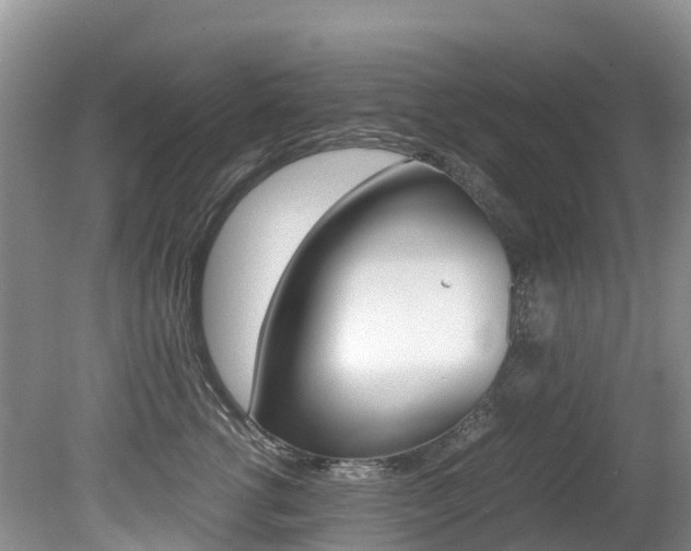 X0000080710762200612150902