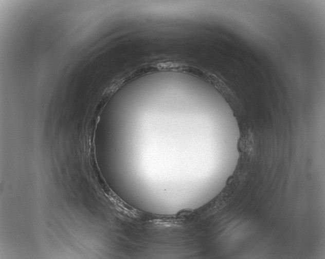 X0000080710763200612150902