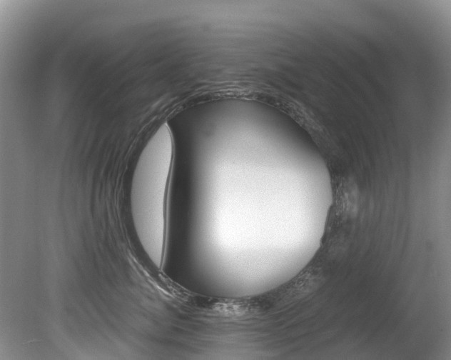 X0000080710764200612150902