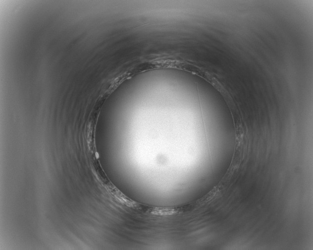 X0000080710767200612150902