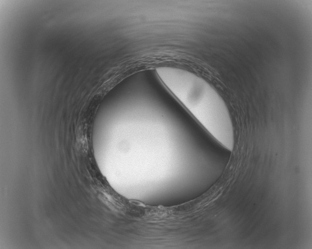 X0000080710771200612150901