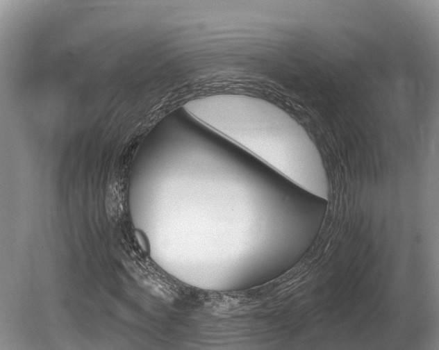 X0000080710772200612150901