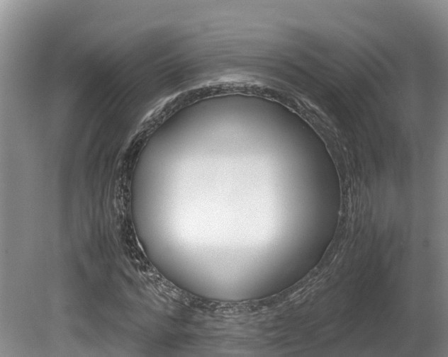 X0000080710776200612150901