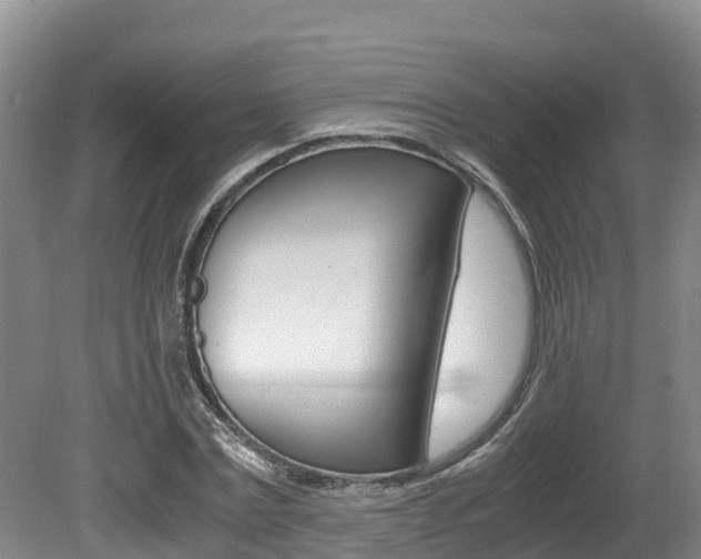 X0000080710779200612150901