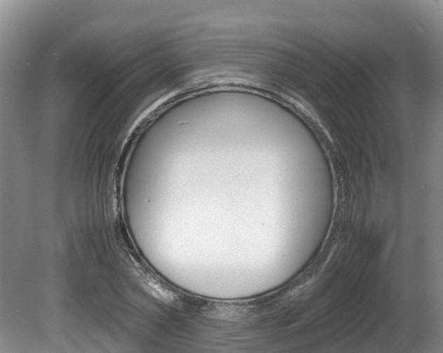X0000080710782200612150901