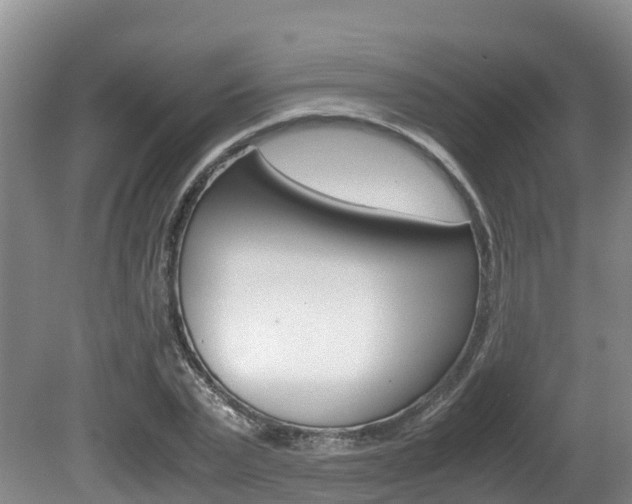 X0000080710783200612150901