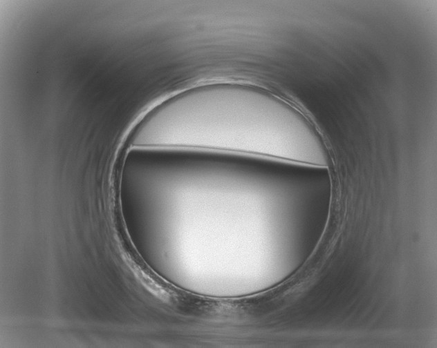X0000080710787200612150901