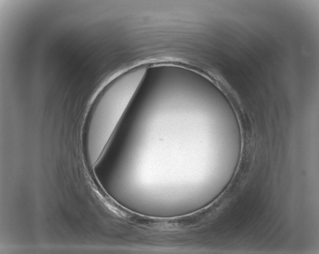 X0000080710789200612150901