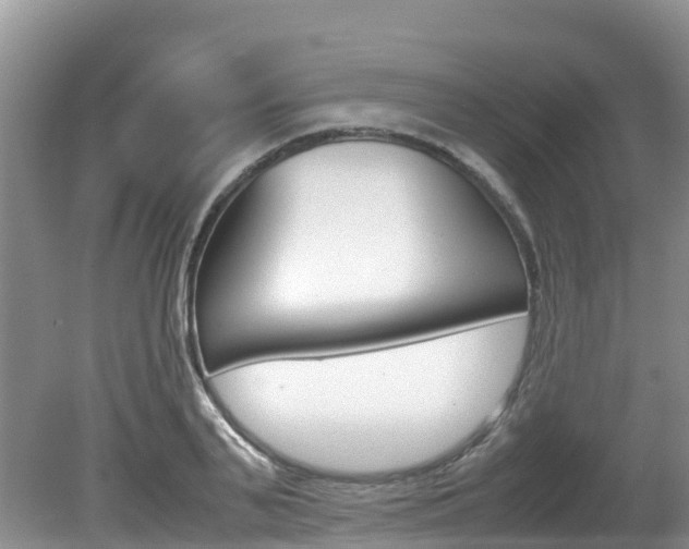 X0000080710791200612150901