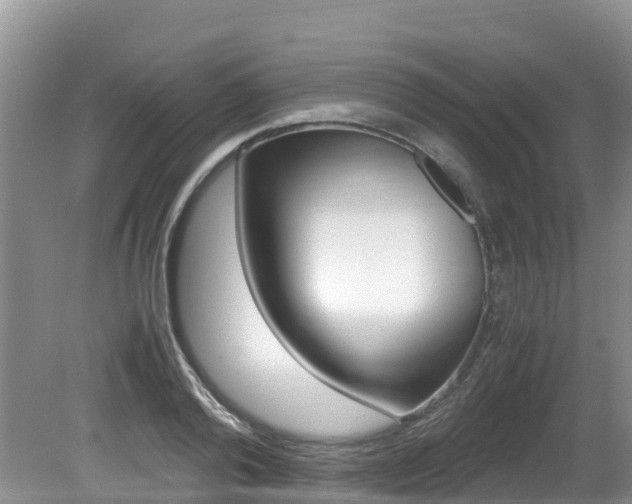 X0000080710792200612150901