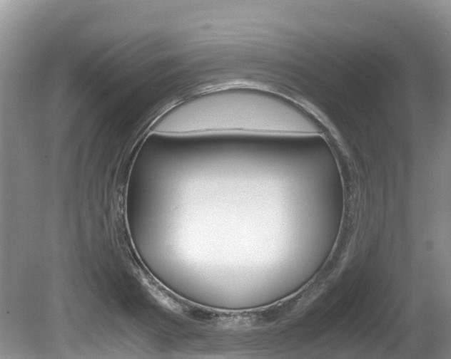 X0000080710793200612150901