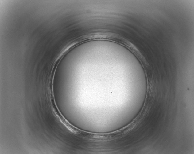 X0000080710794200612150901