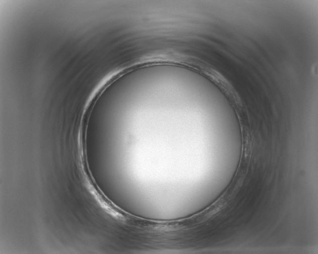 X0000080710796200612150901