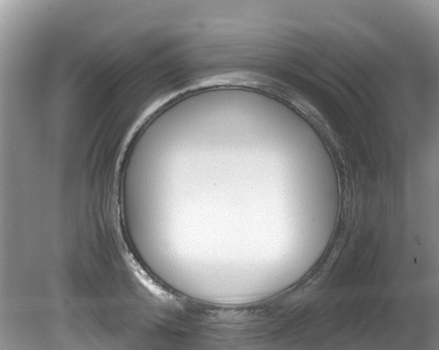 X0000080710800200612150901