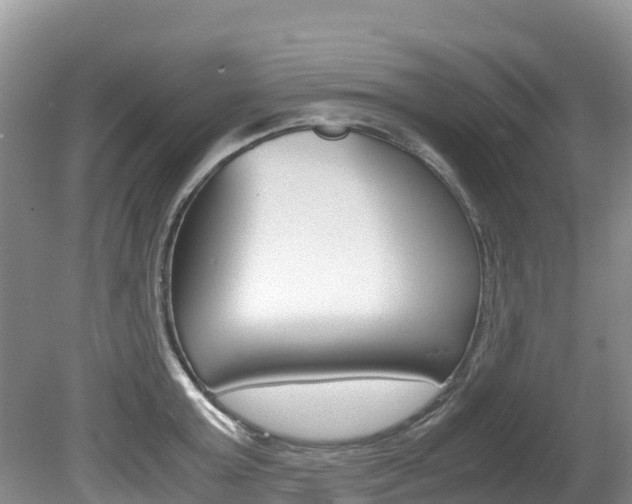 X0000080710803200612150901