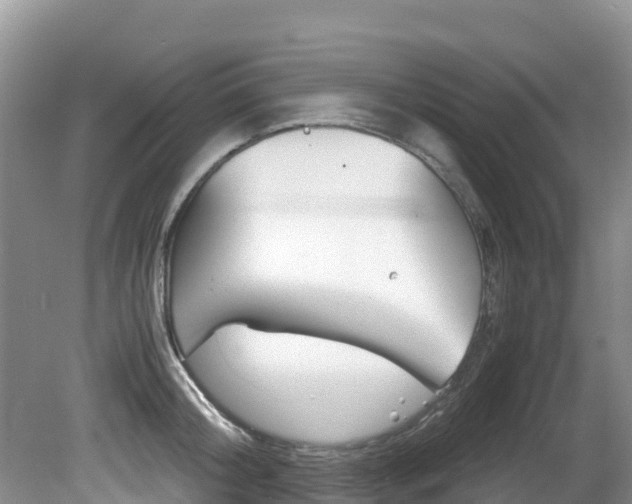 X0000080710804200612150901