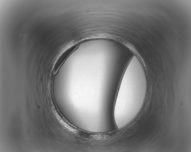 X0000080710805200612150901