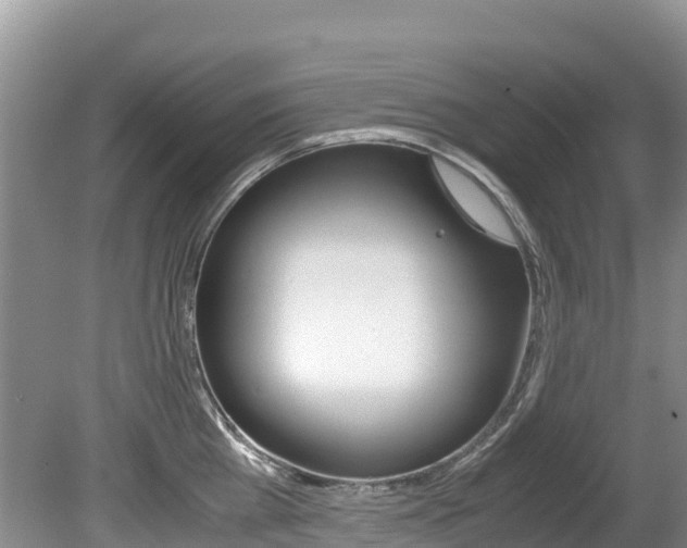 X0000080710809200612150901