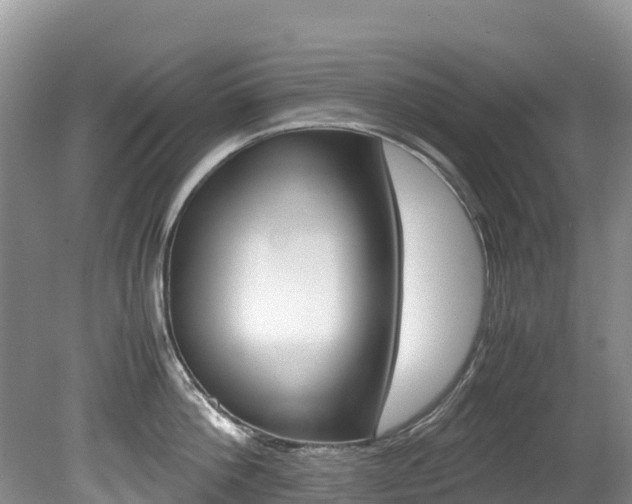 X0000080710812200612150901