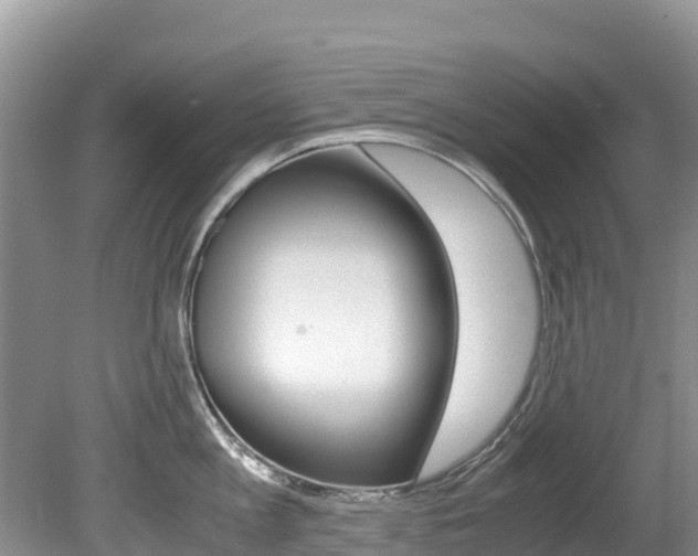 X0000080710813200612150901