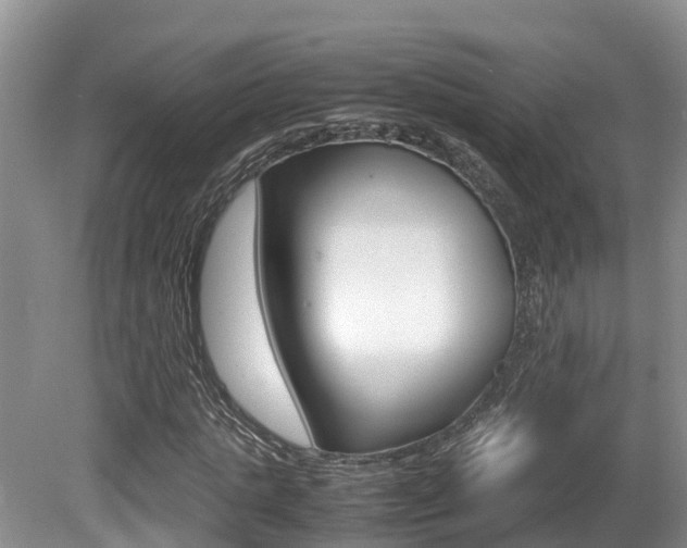 X0000080710821200612150900