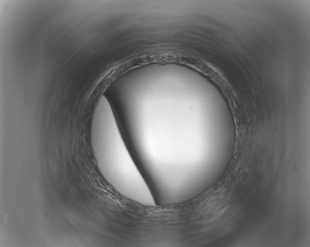 X0000080710823200612150900
