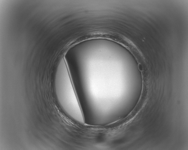 X0000080710825200612150900
