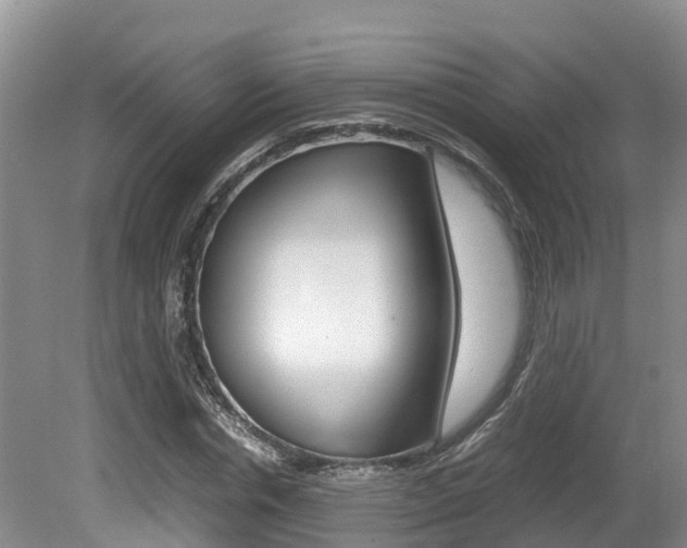 X0000080710826200612150900