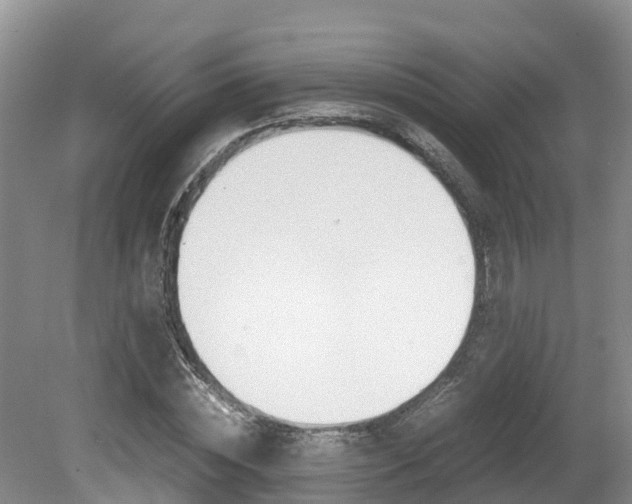 X0000080710828200612150900