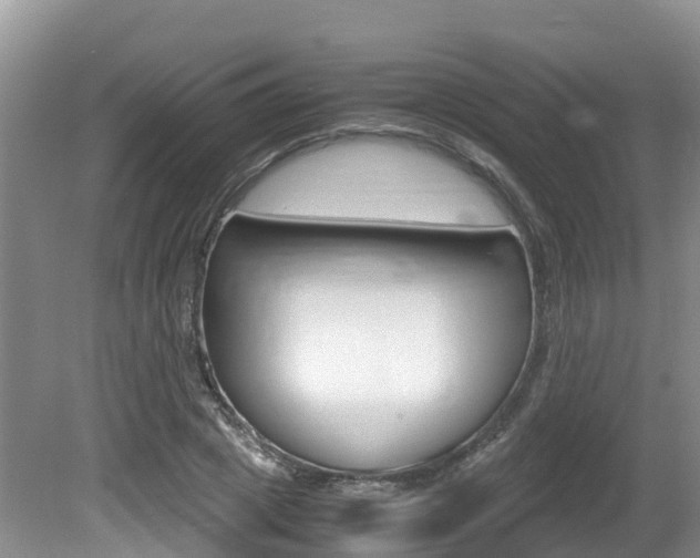 X0000080710833200612150900