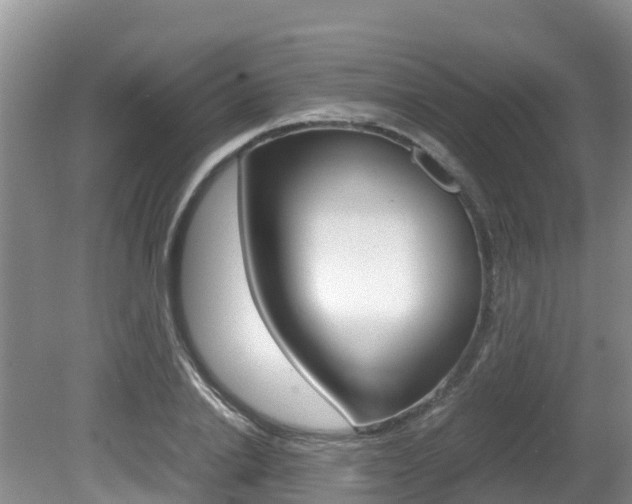 X0000080710838200612150900