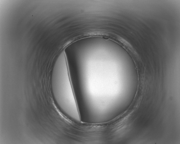 X0000080710841200612150900