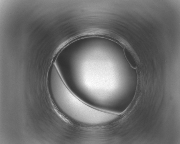 X0000080710842200612150900
