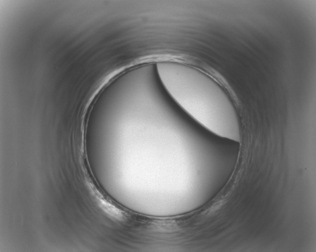 X0000080710844200612150900