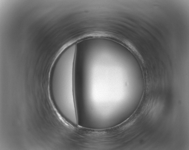 X0000080710845200612150900