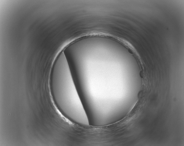 X0000080710847200612150900