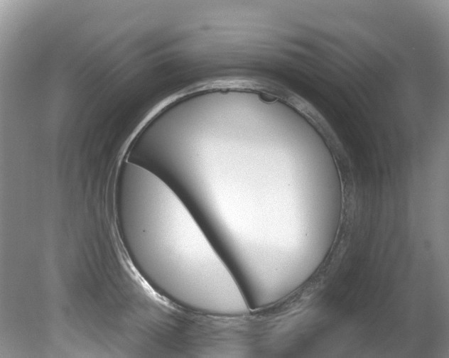 X0000080710852200612150900