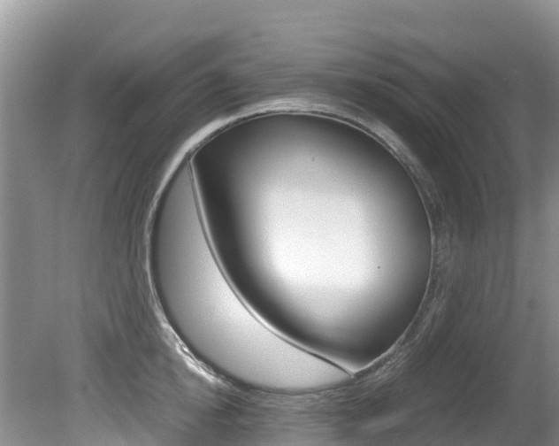 X0000080710854200612150901