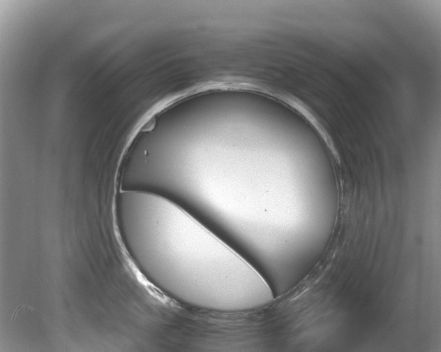 X0000080710861200612150901